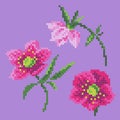 Vector illustration cross stitch anemone